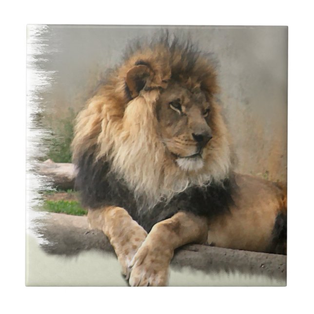 Lion Lovers King of the Jungle Tile (Front)