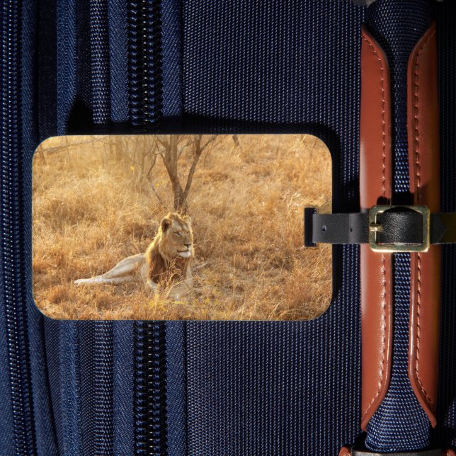 Lion Luggage Tag (Front Insitu 4)