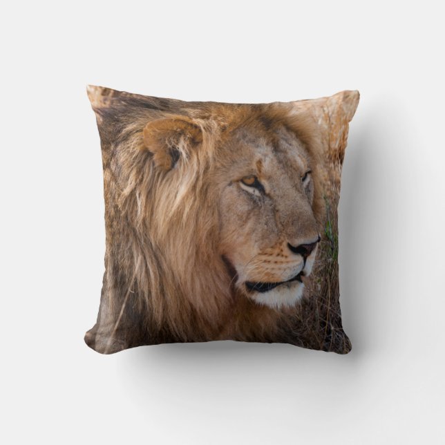 Lion Maasai Mara National Reserve, Kenya Cushion (Front)