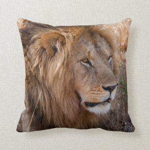 Lion Maasai Mara National Reserve, Kenya Cushion