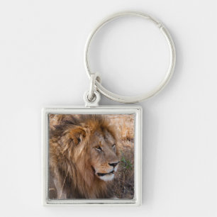 Lion Maasai Mara National Reserve, Kenya Key Ring