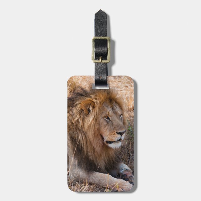 Lion Maasai Mara National Reserve, Kenya Luggage Tag (Front Vertical)