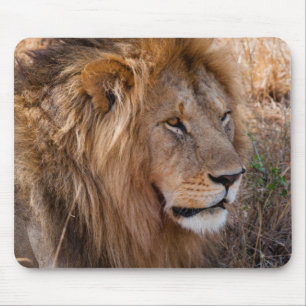 Lion Maasai Mara National Reserve, Kenya Mouse Mat