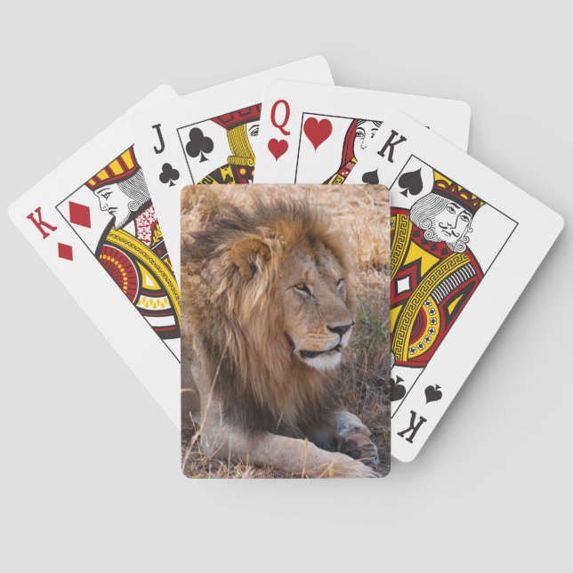 Lion Maasai Mara National Reserve, Kenya Playing Cards (Back)
