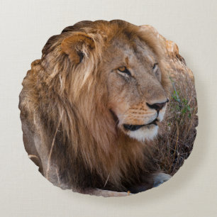 Lion Maasai Mara National Reserve, Kenya Round Cushion