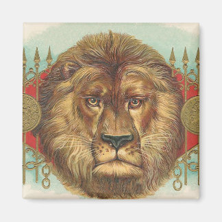 Lion Magnet