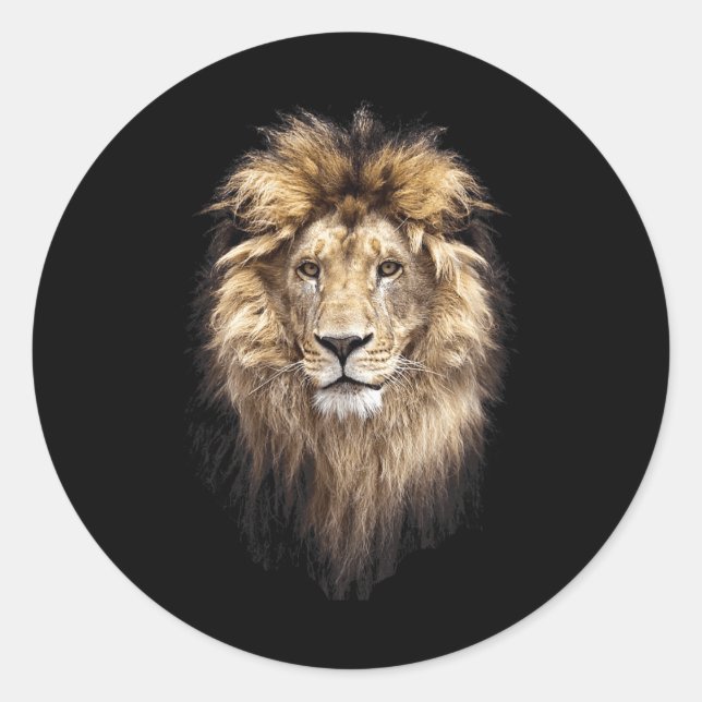 Lion Main Animal Face Big Cat  Classic Round Sticker (Front)