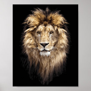 Lion Main Animal Face Big Cat  Poster