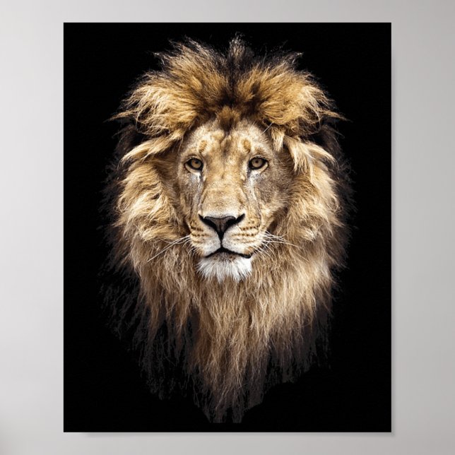 Lion Main Animal Face Big Cat  Poster (Front)