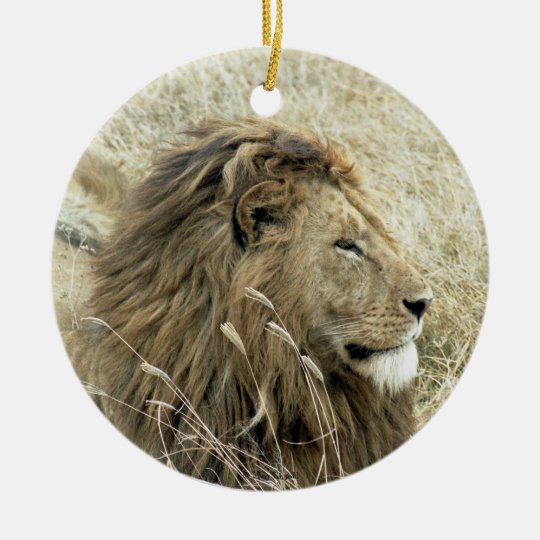 Lion Male Christmas Ornament Zazzle.co.uk