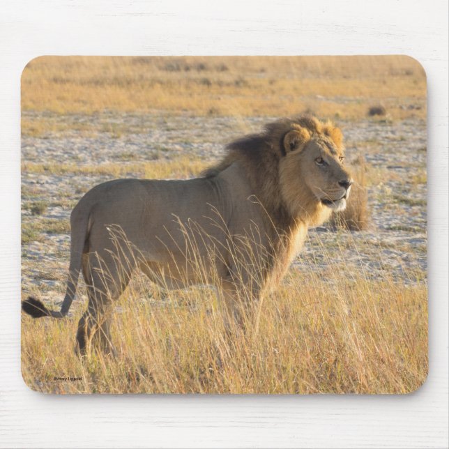 LION MALE MOUSE MAT (Front)