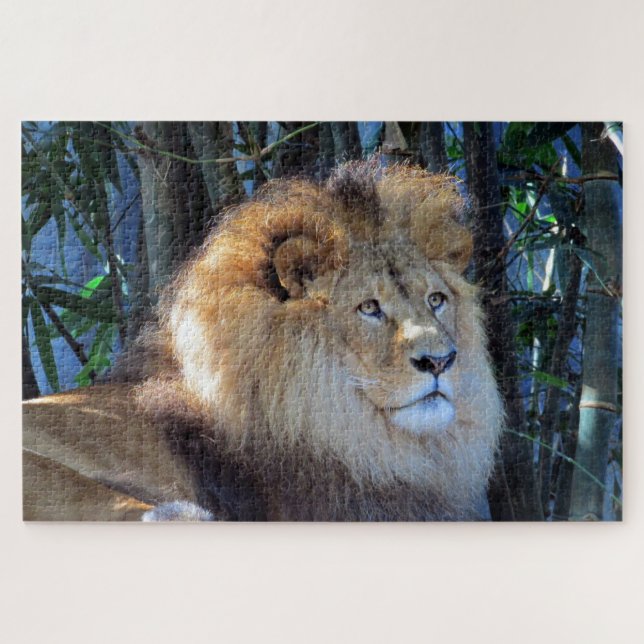 lion mane jigsaw puzzle (Horizontal)