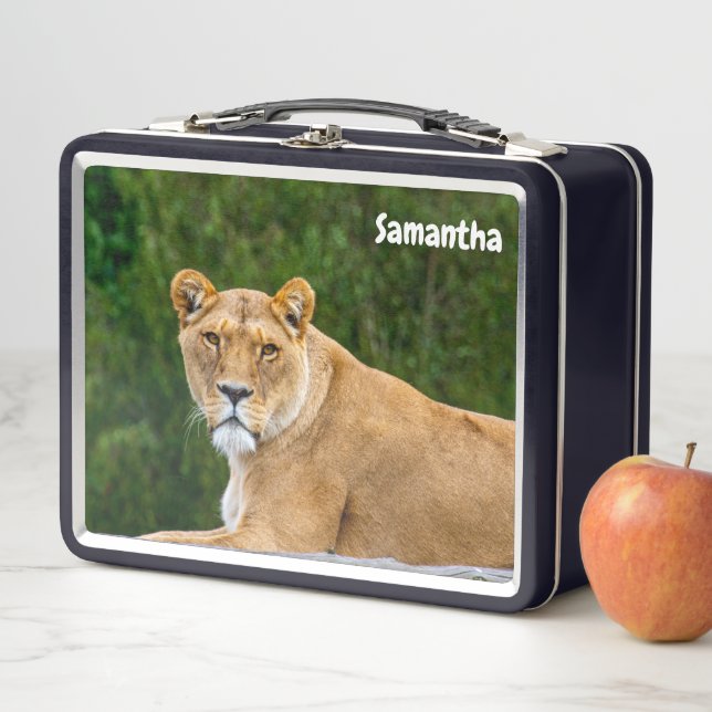 Lion Metal Lunchbox (In Situ)