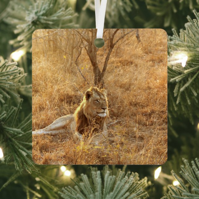 Lion Metal Tree Decoration (Insitu)