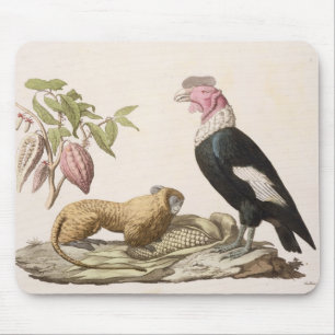 Lion monkey and condor, native to Chile or Ecuador Mouse Mat