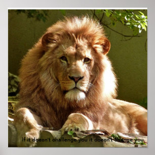 Lion motivational quote poster