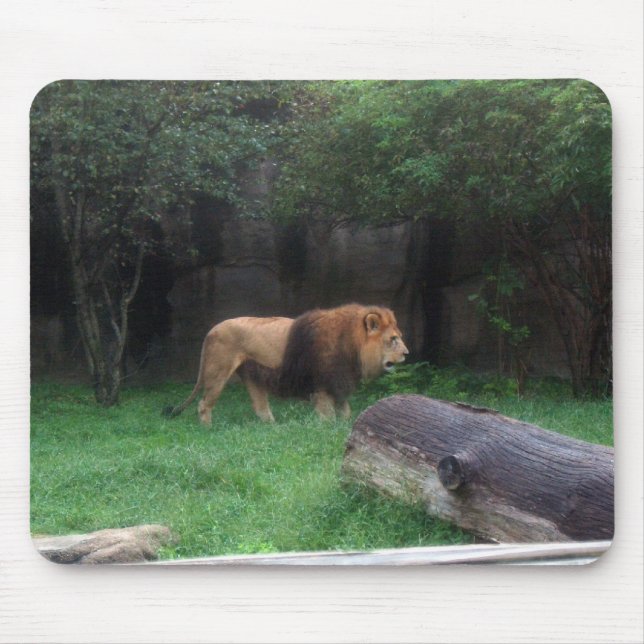 Lion Mouse Mat (Front)