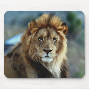 Lion Mouse Mat