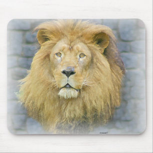 lion mouse mat