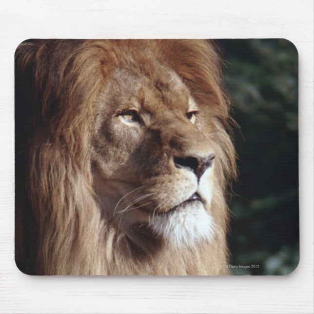 lion mouse mat (Front)