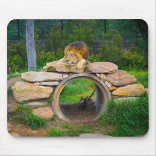 Lion Mouse Mat