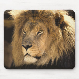 Lion Mouse Mat