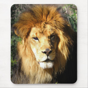 Lion Mouse Mat