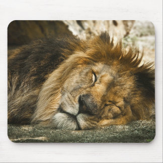 lion mouse mat