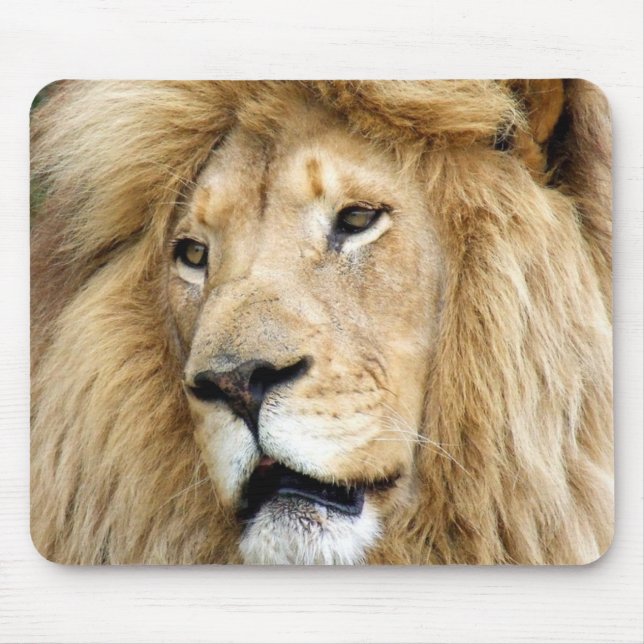 lion mouse mat (Front)