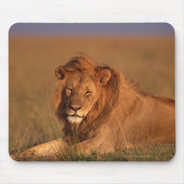 Lion Mouse Mat (Front)
