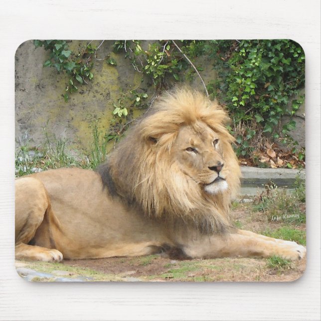 Lion Mouse Mat (Front)