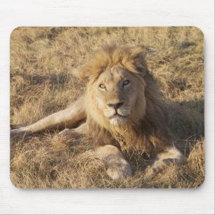 Lion Mouse Pad
