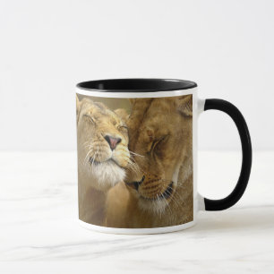 Lion Mugs