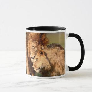 Lion Mugs