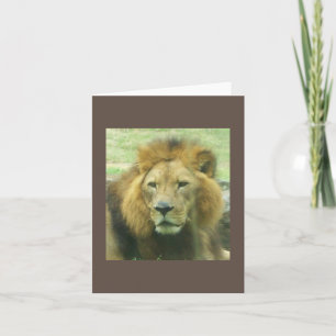 Lion Note Card