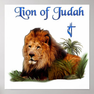 Lion of Judah christian gifts Poster