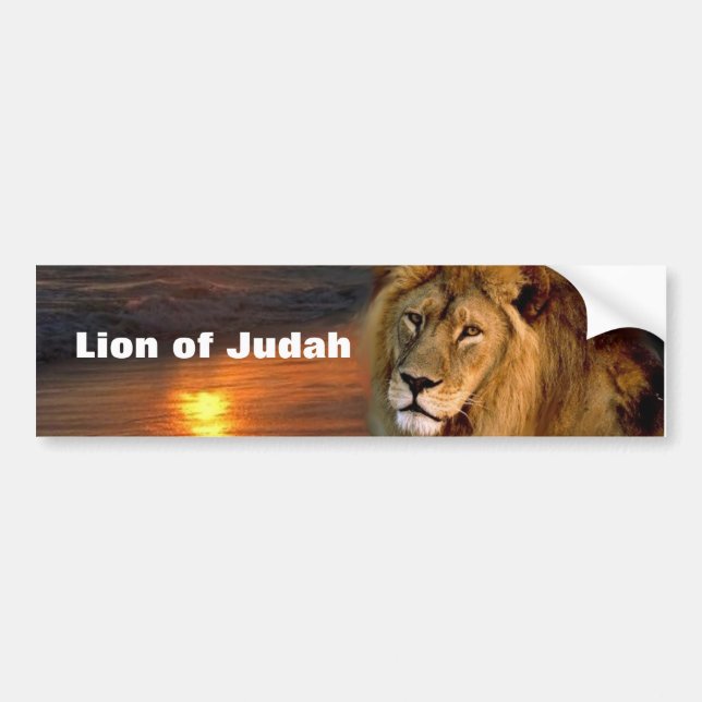 Lion of Judah Collection Bumper Sticker (Front)