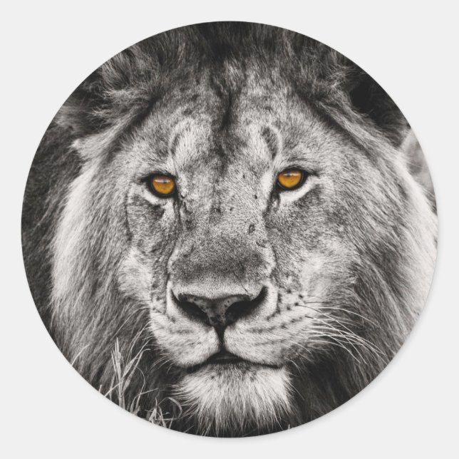 Lion of Judah - Rastafara - Jah Rastafari Sticker (Front)