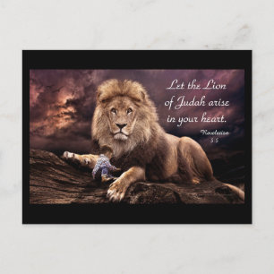 Lion of Judah Revelation 5:5  Postcard