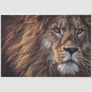 Lion Oil Painting Tissue Paper