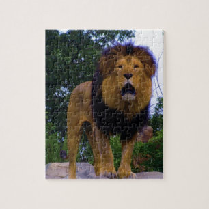 Lion on a Rock Jigsaw Puzzle