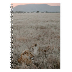 LION ON BROWN GRASS FIELD DURING DAYTIME NOTEBOOK