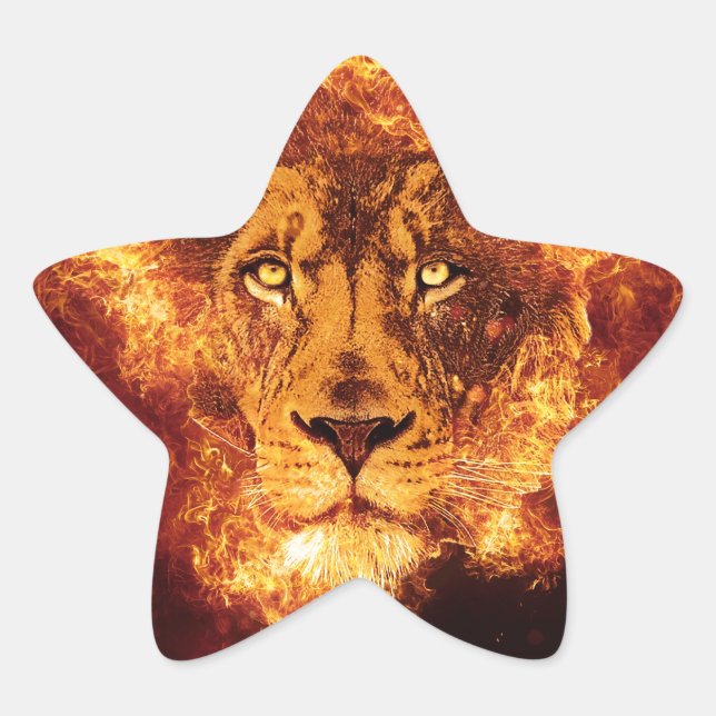 Lion on Fire Star Sticker (Front)