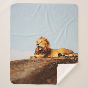 LION ON GROUND DURING DAYTIME SHERPA BLANKET