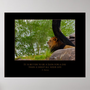 Lion on the Mount Poster