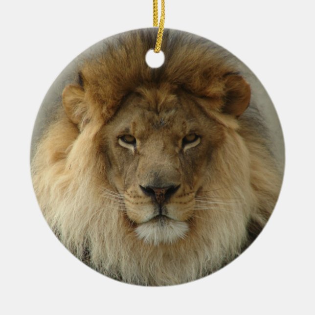 LION ORNAMENT (Front)
