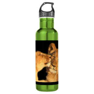 Lion Pair 0.7 litre stainless steel 710 Ml Water Bottle