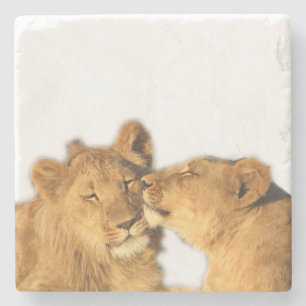Lion Pair Stone Coaster