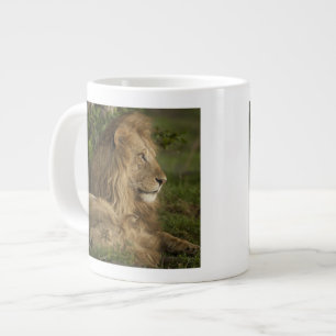 Lion, Panthera leo, Lower Mara, Masai Mara GR, Large Coffee Mug