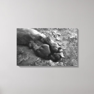 lion paw wall print canvas